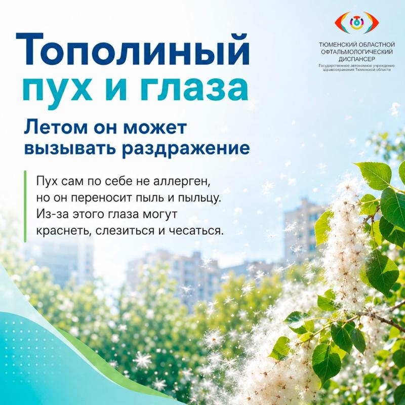 Тополиный пух атакует глаза: как пройти сезон без красноты и слёз?